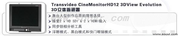 立體監視器